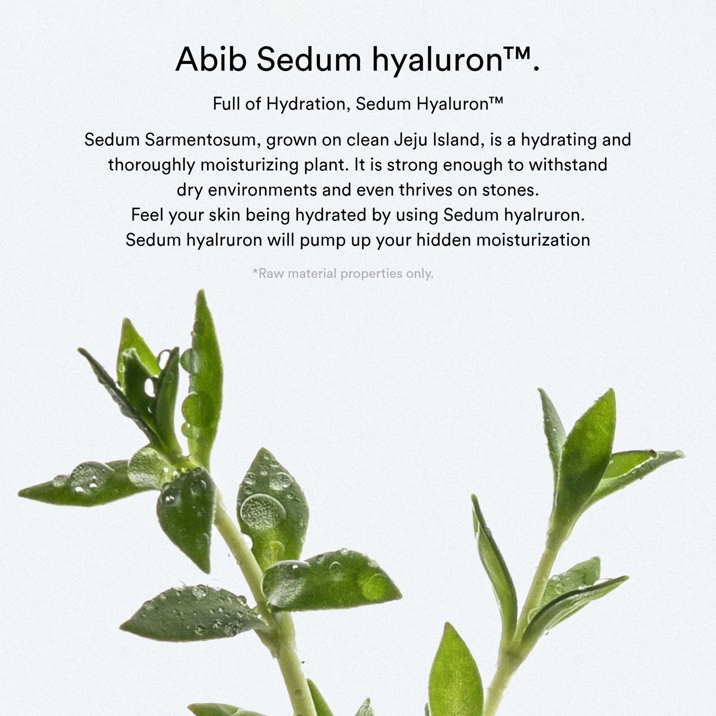 Abib - Sedum Hyaluron Pad Hydrating touch - 165mL 75 pads