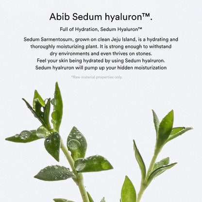 Abib - Sedum Hyaluron Pad Hydrating touch - 165mL 75 pads