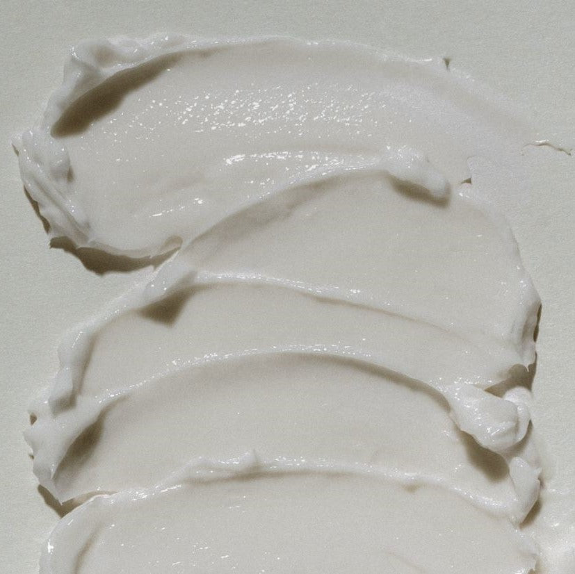 Abib - Jericho Rose Cream Nutrition Tube 75mL