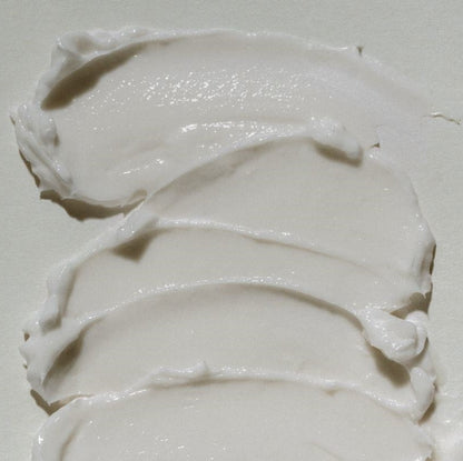 Abib - Jericho Rose Cream Nutrition Tube 75mL