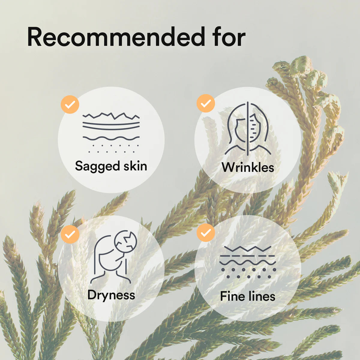 Abib - Collagen Gel Mask Jericho Rose Jelly 35g 1ea