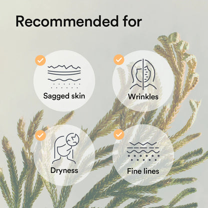 Abib - Collagen Gel Mask Jericho Rose Jelly 35g 1ea